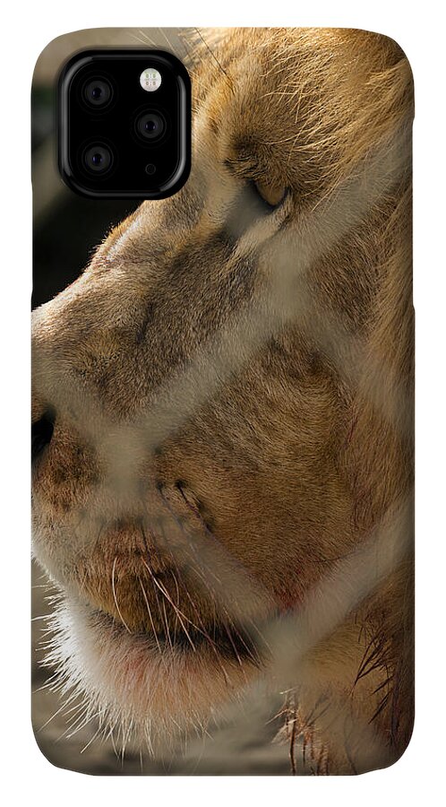 Acres iPhone 11 Case featuring the photograph Profile of a King #2 by Travis Rogers