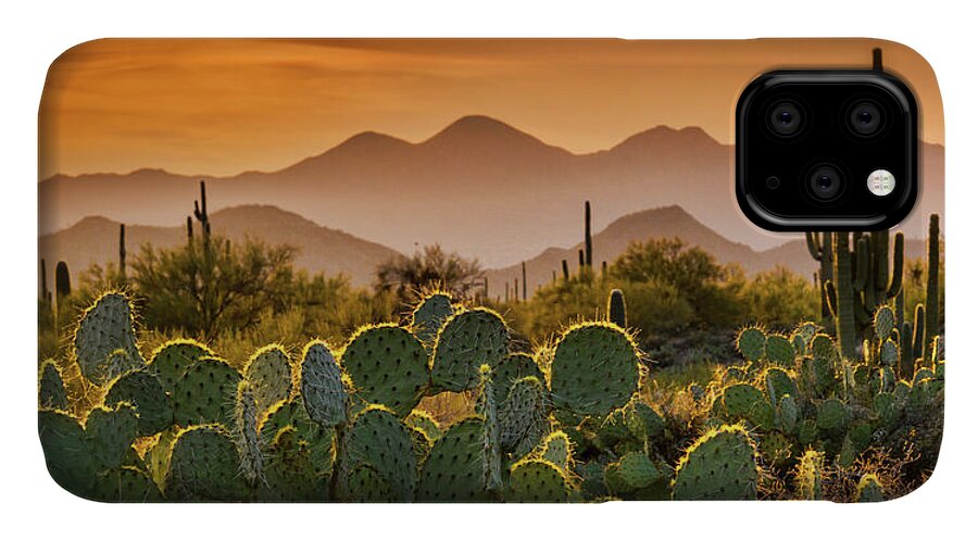Sunset iPhone 11 Case featuring the photograph Pure Sonoran Gold #1 by Saija Lehtonen