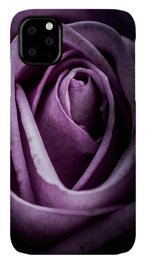 Flower iPhone 11 Case featuring the photograph Rose #1 by Allin Sorenson