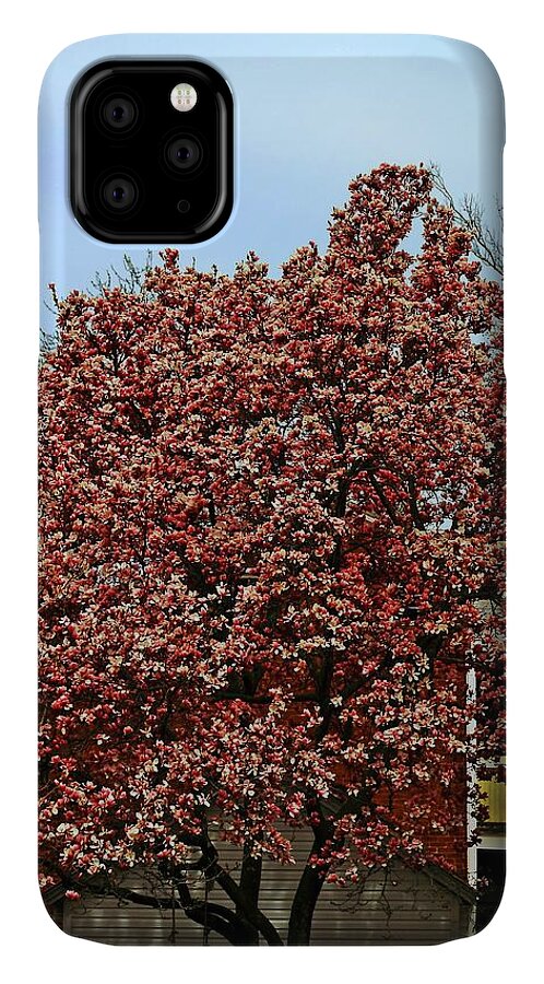 Trees iPhone 11 Case featuring the photograph Tree #1 by Karl Rose