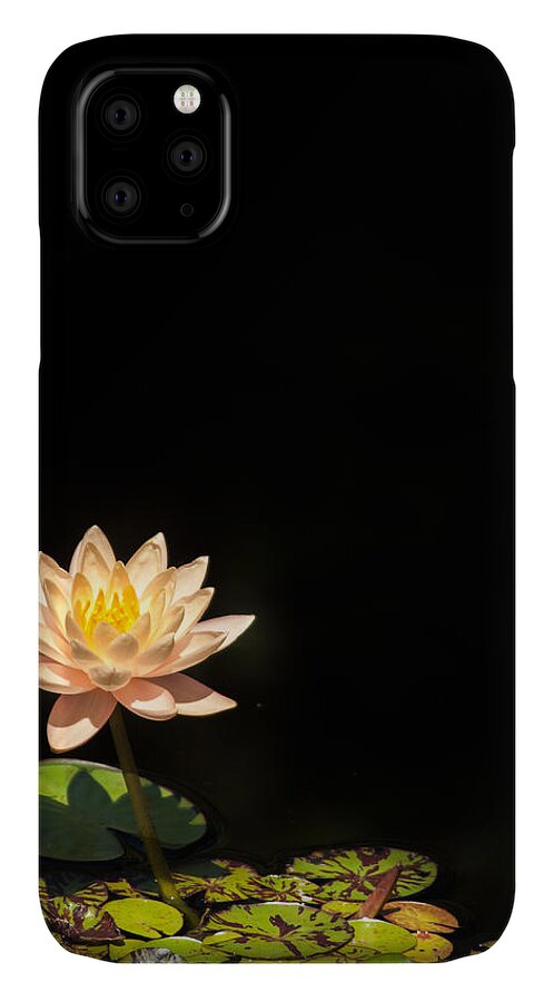 Cleveland iPhone 11 Case featuring the photograph Water Lily #1 by Stewart Helberg