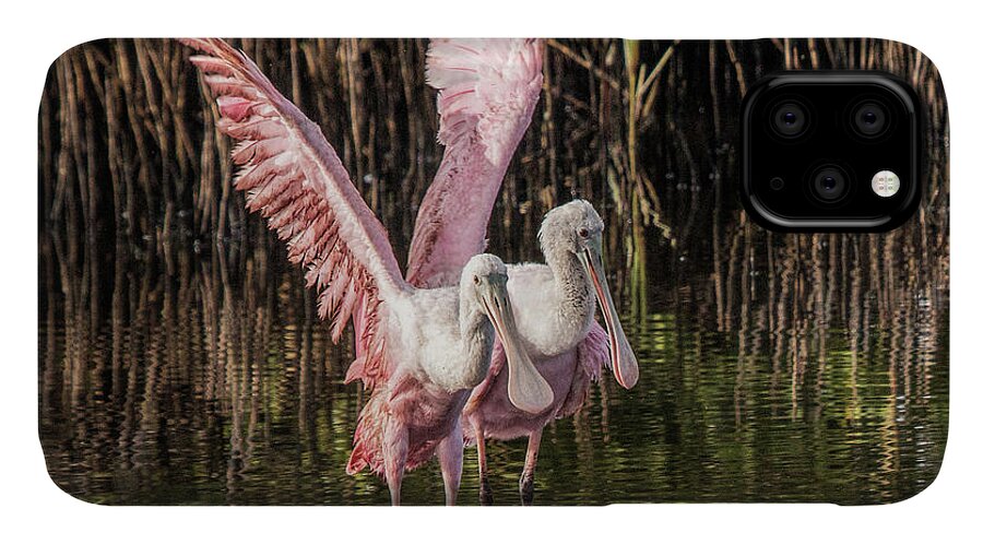 Spoonbill iPhone 11 Case featuring the photograph A Pair of Spoonbills #2 by Dorothy Cunningham