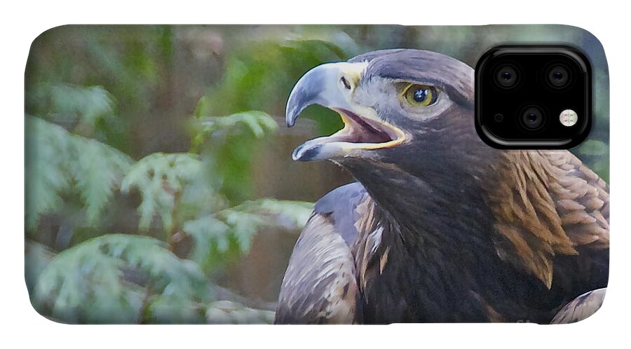 Photography iPhone 11 Case featuring the photograph Golden Eagle #2 by Sean Griffin