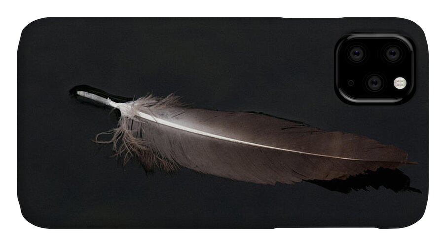 Feather iPhone 11 Case featuring the photograph A Black Vulture Feather Floating on the Swanee river by John Harmon