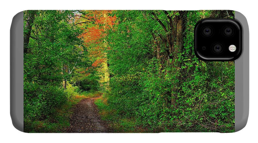 Foxcatcher Farms iPhone 11 Case featuring the photograph A Light in the Forest - Fair Hill Nature Center at Foxcatcher Farms - Cecil County, MD by Michael Mazaika