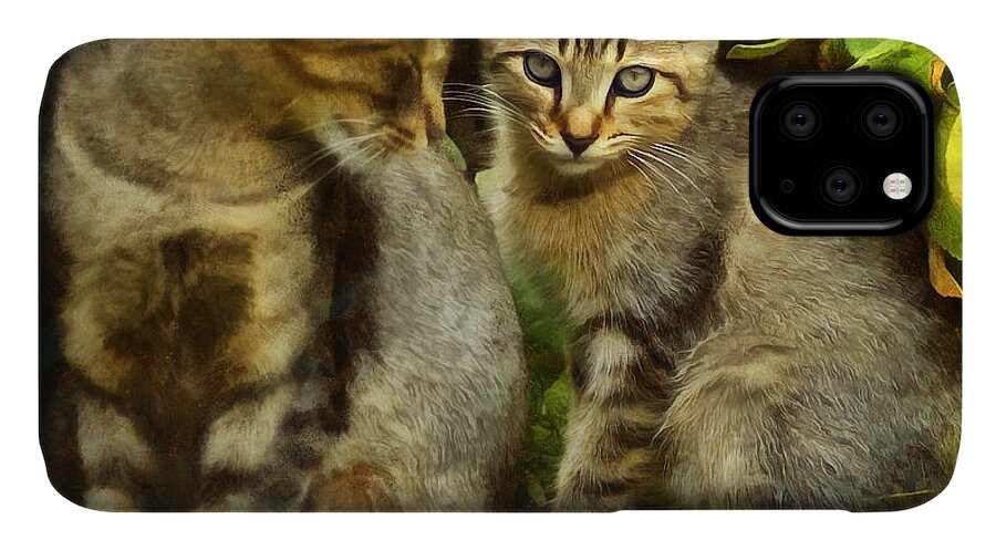Cat iPhone 11 Case featuring the digital art A Pair of Feral Cats by JGracey Stinson
