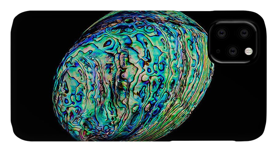 Animals iPhone 11 Case featuring the photograph Abalone on Black by Rikk Flohr