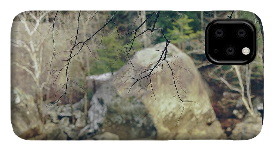 1st iPhone 11 Case featuring the photograph Across From Eagle Falls by Amber Flowers