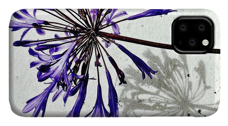 Flower iPhone 11 Case featuring the photograph Agapanthus by Julie Gebhardt