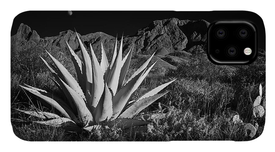 Agave iPhone 11 Case featuring the photograph Agave and Moonrise by Patti Schulze