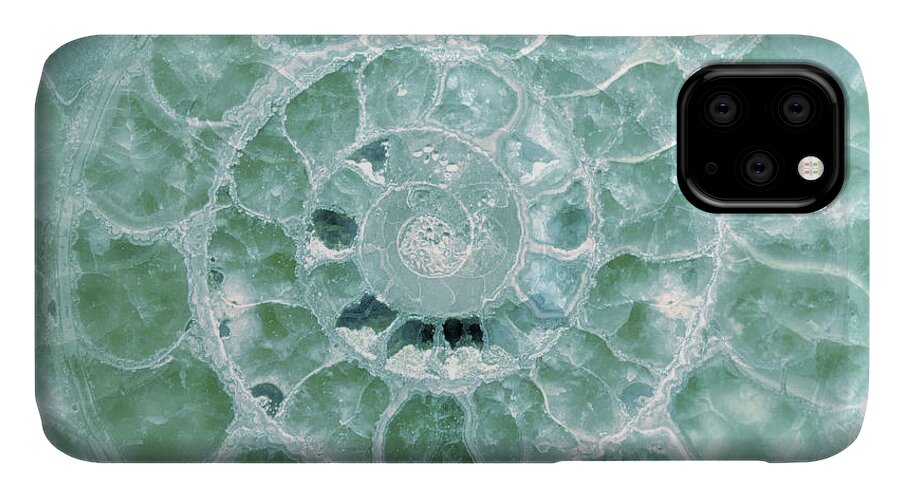 Ammonite iPhone 11 Case featuring the photograph Ammonite Emerald Green by Gigi Ebert