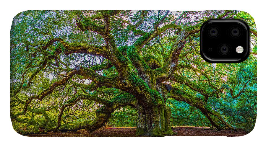 Angel Oak Tree iPhone 11 Case featuring the photograph Angel Oak Tree Charleston SC by John McGraw