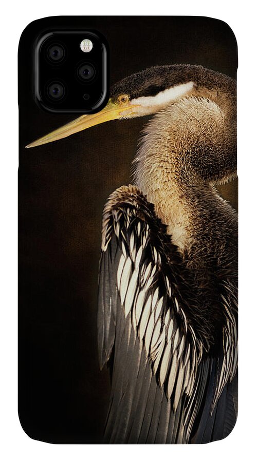 Anhinga iPhone 11 Case featuring the photograph Anhinga by Diana Andersen