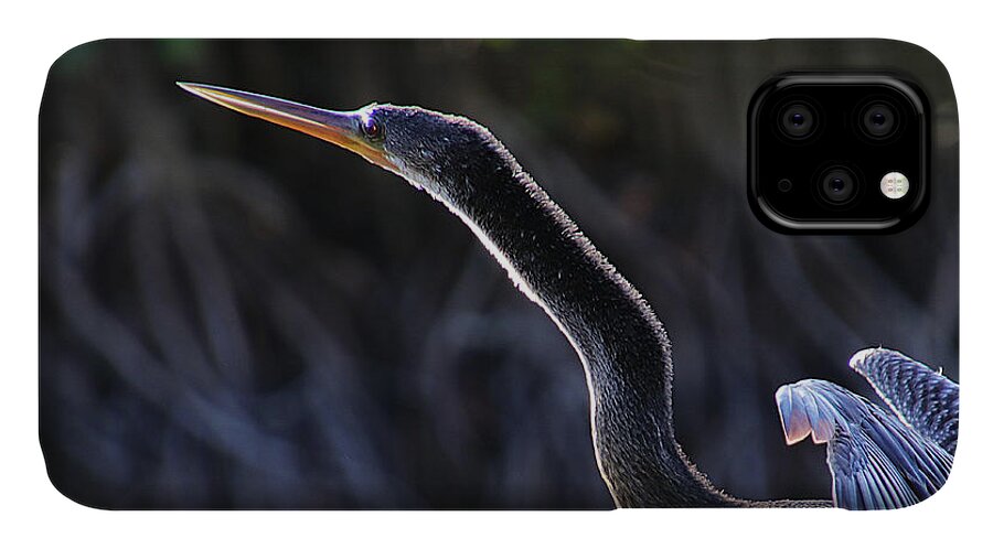 Anhinga iPhone 11 Case featuring the photograph Anhinga by Michele A Loftus