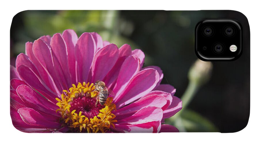 Bee iPhone 11 Case featuring the photograph Another work day by Lora Lee Chapman