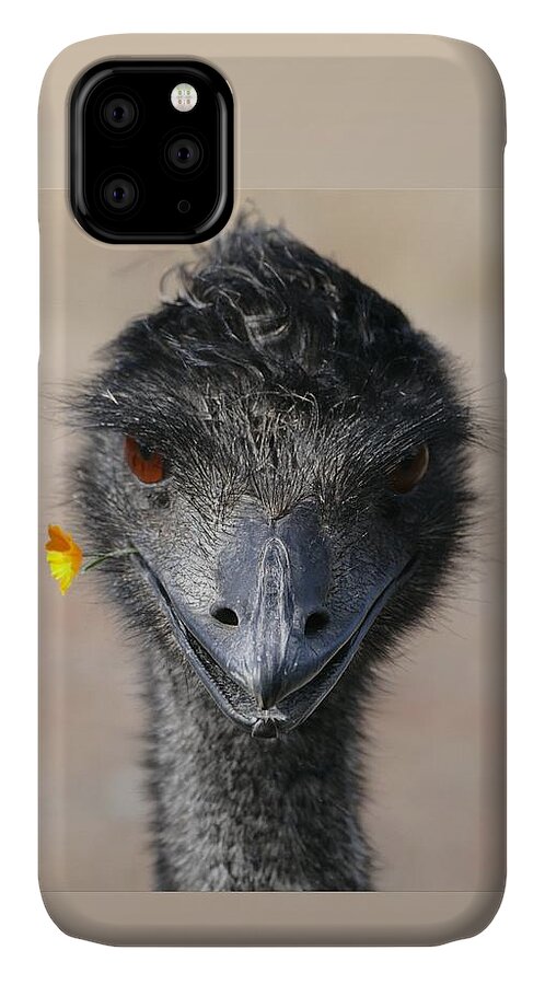 Emu iPhone 11 Case featuring the photograph Happy Emu by Ivana Westin