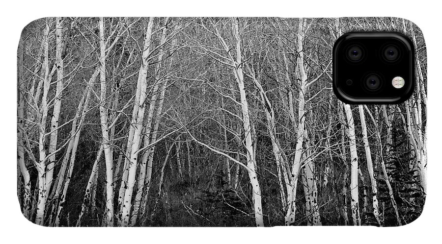 Aspen iPhone 11 Case featuring the photograph Aspen Forest Black and White Print by James BO Insogna