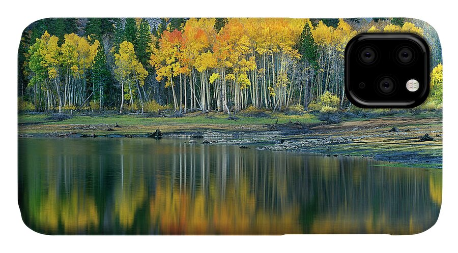 Dave Welling iPhone 11 Case featuring the photograph Aspens In Fall Color Along Lundy Lake Eastern Sierras California by Dave Welling