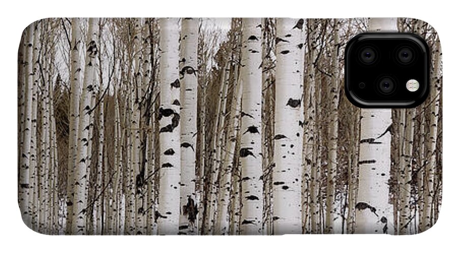 Aspen iPhone 11 Case featuring the photograph Aspens In Winter Panorama - Colorado by Brian Harig