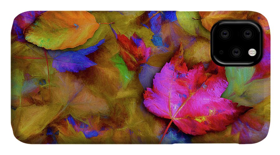 Autumn Breeze iPhone 11 Case featuring the photograph Autumn Breeze by Paul Wear