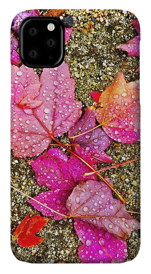 Dew iPhone 11 Case featuring the photograph Autumn Dew by Brad Hodges