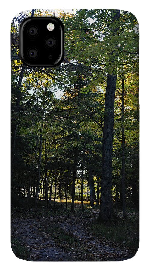 Fall iPhone 11 Case featuring the photograph Autumn Glen by Tim Nyberg