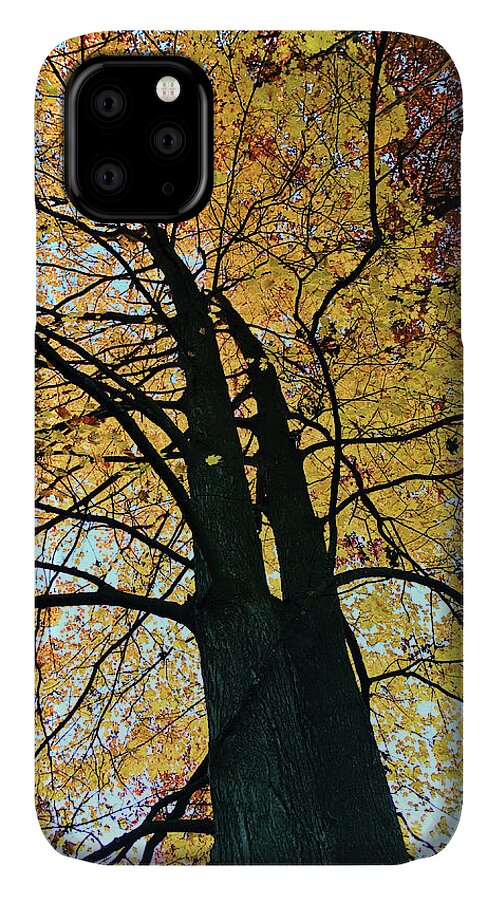 Autumn iPhone 11 Case featuring the photograph Autumn Glory by Laura Kinker