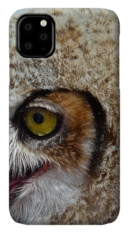 Birds iPhone 11 Case featuring the photograph Baby Owl by Diana Hatcher