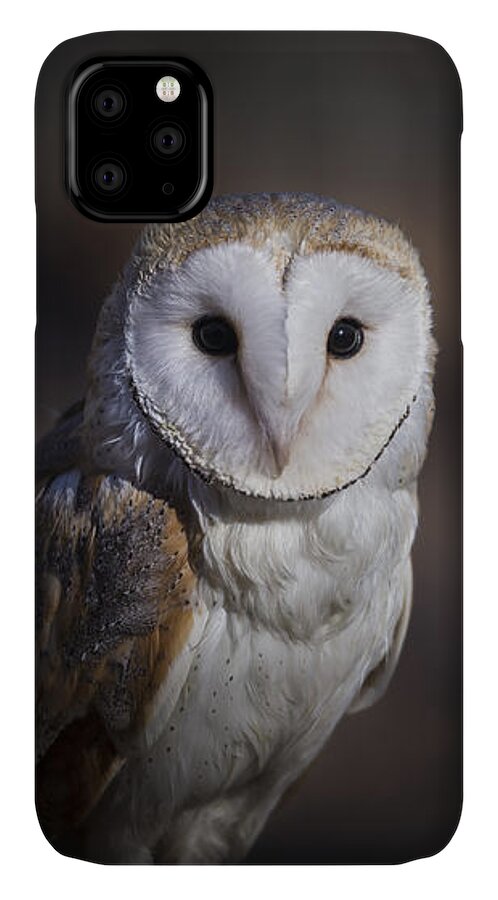 Owl iPhone 11 Case featuring the photograph Barn Owl by Andrea Silies
