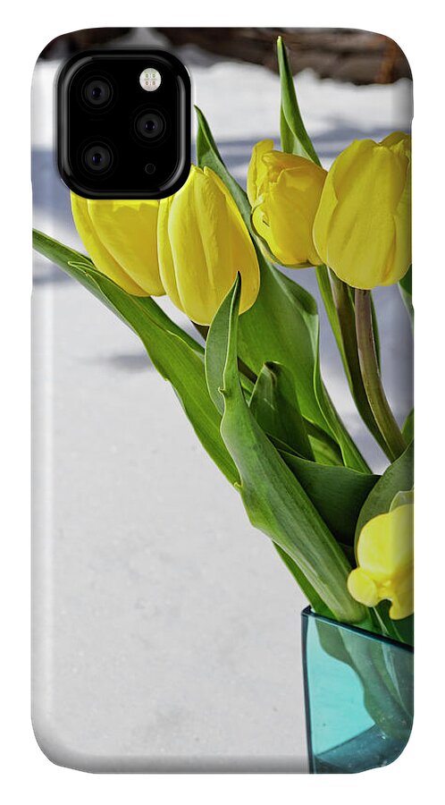 Yellow iPhone 11 Case featuring the photograph Basking in the Sunshine by Traci Cottingham