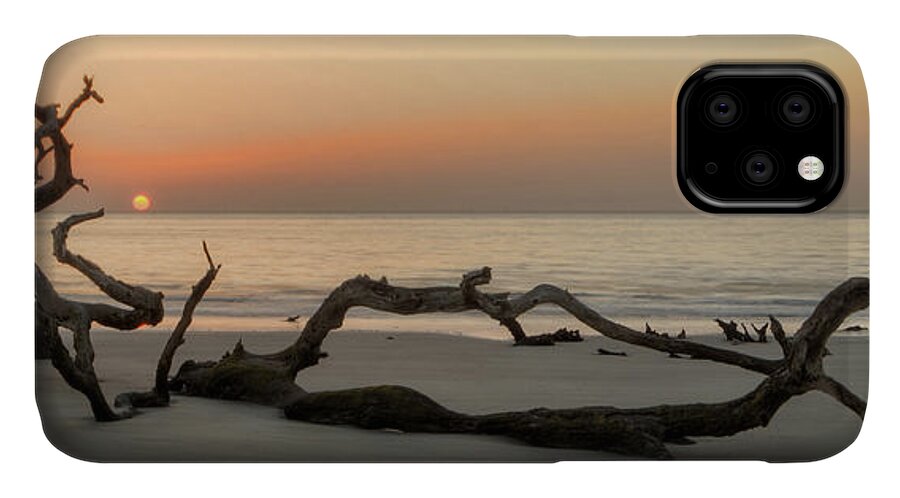 Driftwood iPhone 11 Case featuring the photograph Beach Art Cropped by Greg and Chrystal Mimbs