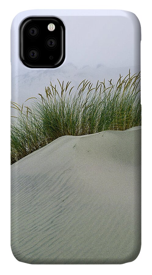 Beach Grass iPhone 11 Case featuring the photograph Beach Grass and Dunes by Robert Potts