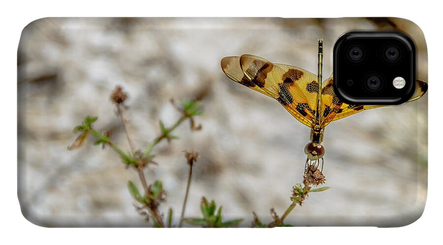 Dragonfly iPhone 11 Case featuring the photograph Beautiful Dragonfly by Wolfgang Stocker