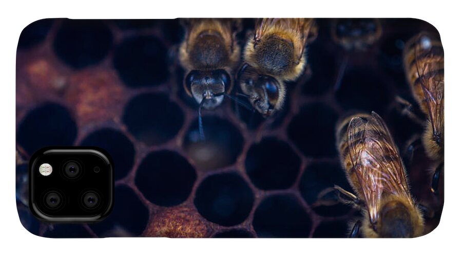Bee iPhone 11 Case featuring the photograph Bees at Work by Shawn Jeffries