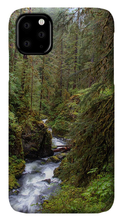 Creek iPhone 11 Case featuring the photograph Below the Falls by David Andersen