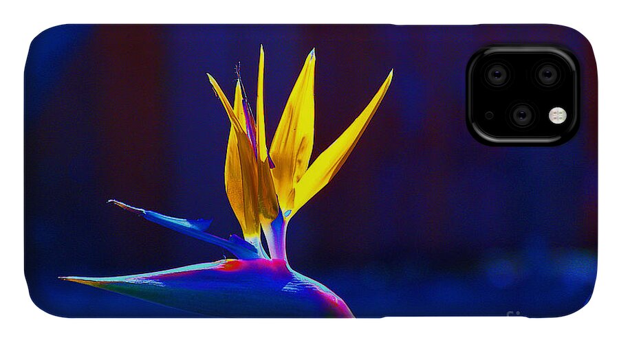  iPhone 11 Case featuring the photograph Bird of Paradise by David Frederick