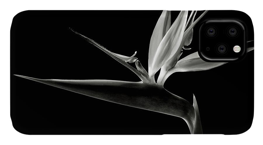 Flower iPhone 11 Case featuring the photograph Bird of Paradise in Black and White by Endre Balogh