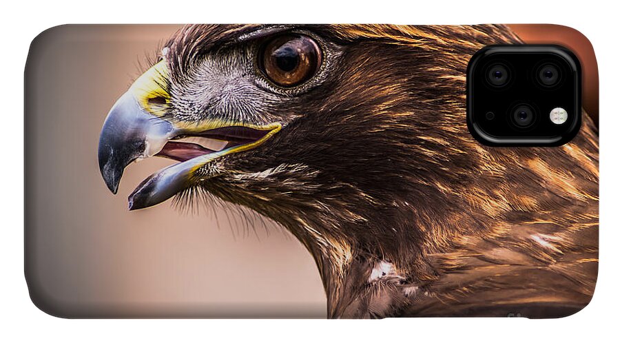 Raptor iPhone 11 Case featuring the photograph Bird of Prey Profile by Blake Webster