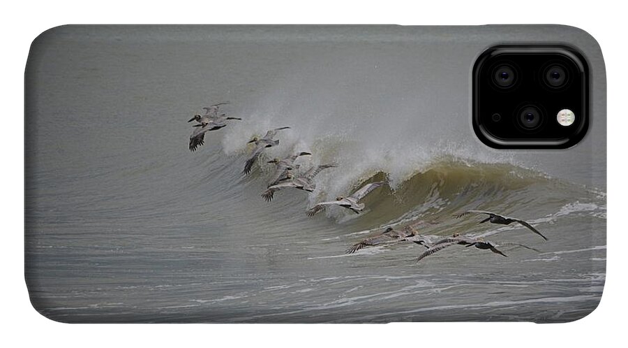 Birds iPhone 11 Case featuring the photograph Outer Banks OBX #13 by Buddy Morrison