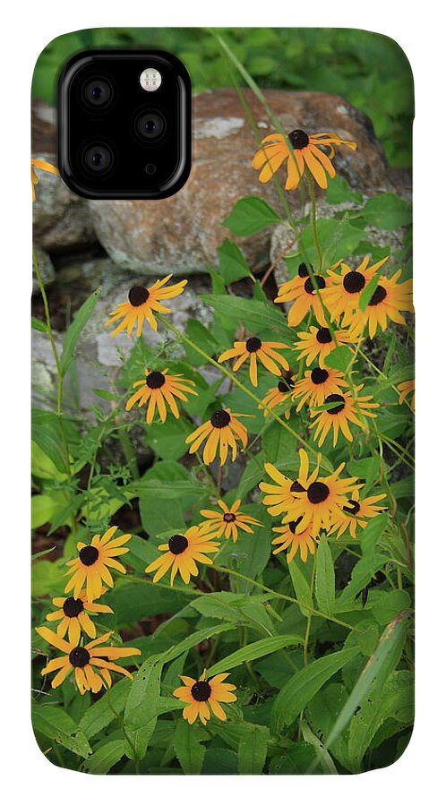 Landscape iPhone 11 Case featuring the photograph Black Eyed Susan by Doug Mills