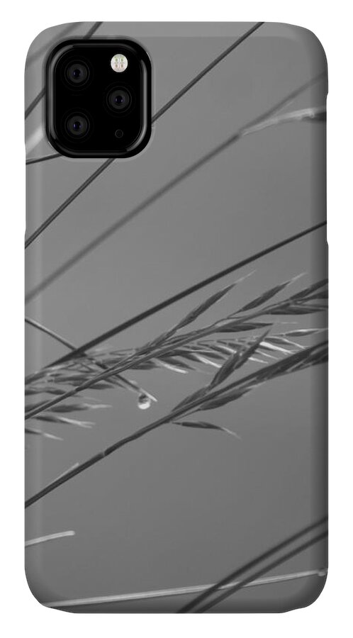 Monochrome iPhone 11 Case featuring the photograph Blades of Gray by Leon DeVose