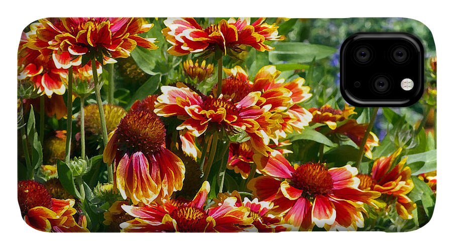 Gaillardia iPhone 11 Case featuring the photograph Blanket Flowers by Sharon Talson