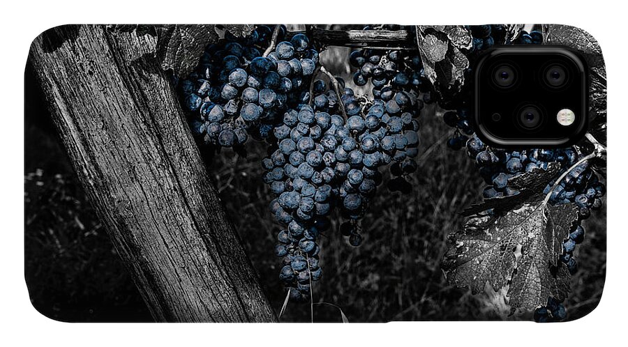 Composite iPhone 11 Case featuring the photograph Blue Grapes 2 by Wolfgang Stocker