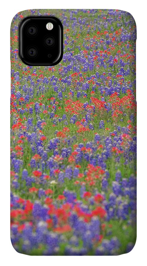 Bluebonnet iPhone 11 Case featuring the photograph Bluebonnets and Paintbrushes by Johnny Boyd