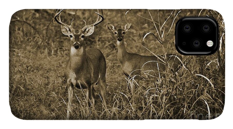 Buck And Doe In Sepia iPhone 11 Case featuring the photograph Buck and Doe in Sepia by Michael Tidwell