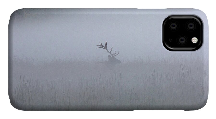 Elk iPhone 11 Case featuring the photograph Bull Elk in Fog - September 30, 2016 by D K Wall