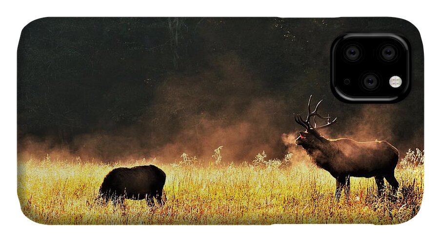 Elk iPhone 11 Case featuring the photograph Bull with his girl by Chuck Brown