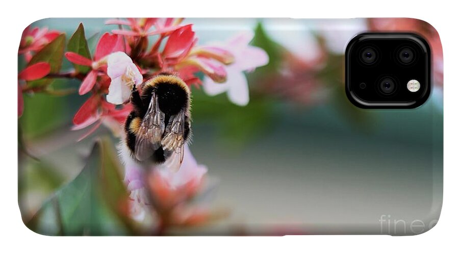 Pretty iPhone 11 Case featuring the photograph Bumble Bee Love by Tracey Lee Cassin