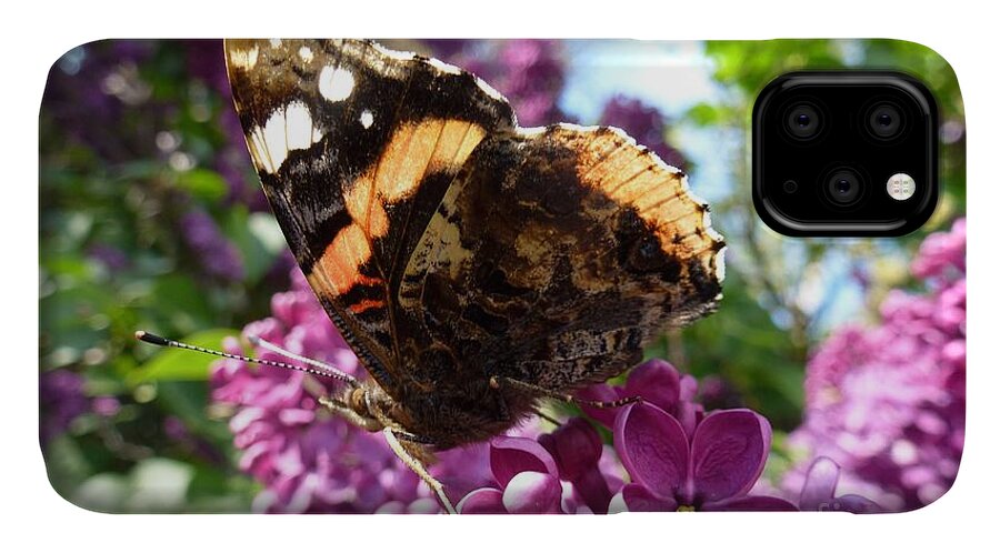 Beautiful iPhone 11 Case featuring the photograph Butterfly 7 by Jean Bernard Roussilhe