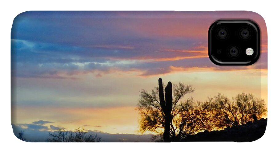 Desert Landscape iPhone 11 Case featuring the photograph Calling by Judy Kennedy